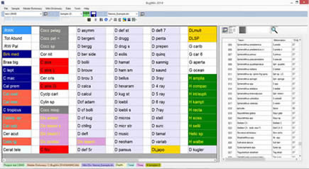 BugWin interface