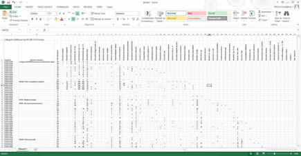 Excel spreadsheet